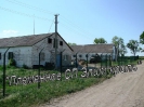 Кролики, сетка ООО 
