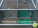 Кролики, сетка ООО 