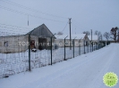 Кролики, сетка ООО 