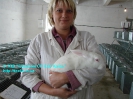 Rabbits_6