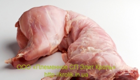 Мясо кролика